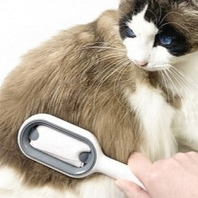 PetGroomPro - Escova de higiene para cuidados com pets